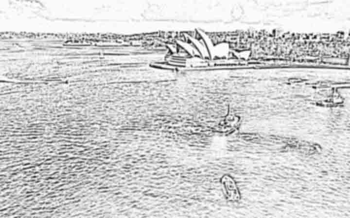 Sydney Opera House from Sydney bridge Harbour